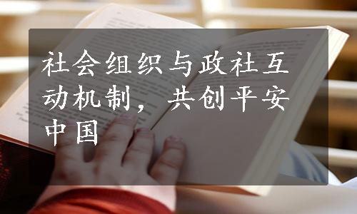 社会组织与政社互动机制，共创平安中国