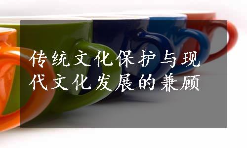 传统文化保护与现代文化发展的兼顾