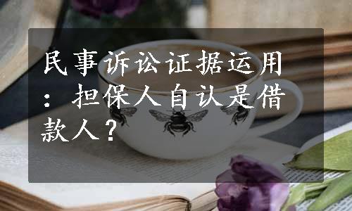 民事诉讼证据运用：担保人自认是借款人？