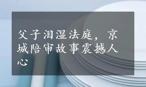 父子泪湿法庭，京城陪审故事震撼人心