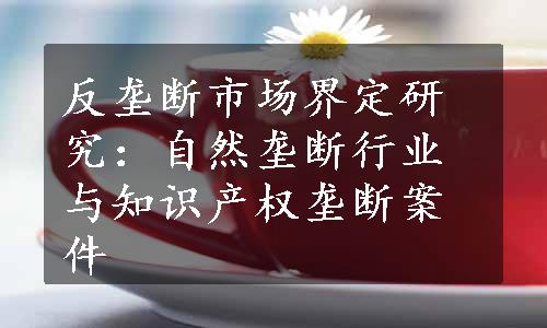 反垄断市场界定研究：自然垄断行业与知识产权垄断案件