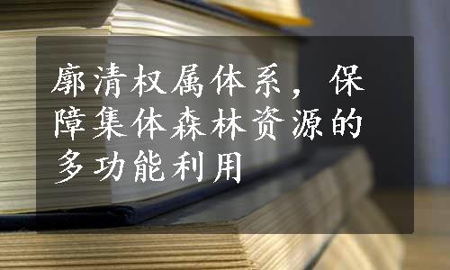 廓清权属体系，保障集体森林资源的多功能利用