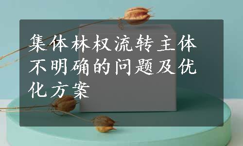 集体林权流转主体不明确的问题及优化方案