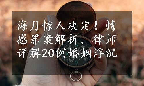 海月惊人决定！情感罪案解析，律师详解20例婚姻浮沉