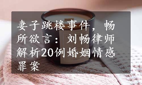 妻子跳楼事件，畅所欲言：刘畅律师解析20例婚姻情感罪案