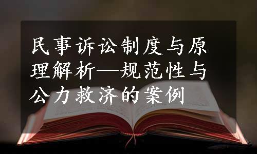 民事诉讼制度与原理解析—规范性与公力救济的案例