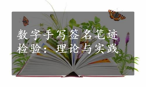 数字手写签名笔迹检验：理论与实践