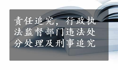 责任追究，行政执法监督部门违法处分处理及刑事追究