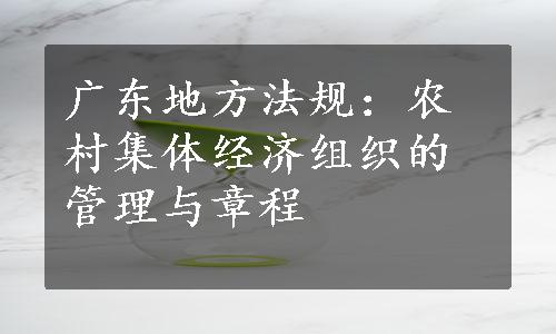 广东地方法规：农村集体经济组织的管理与章程