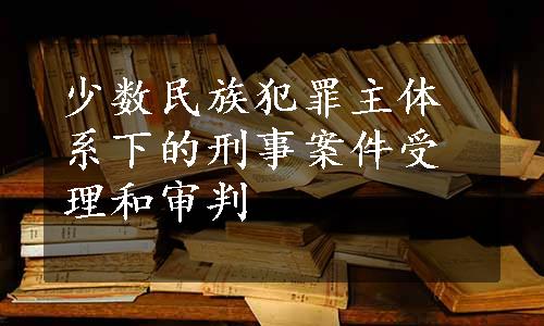 少数民族犯罪主体系下的刑事案件受理和审判