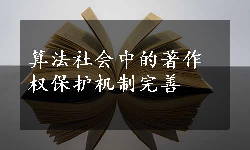 算法社会中的著作权保护机制完善