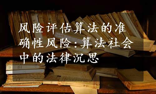 风险评估算法的准确性风险:算法社会中的法律沉思