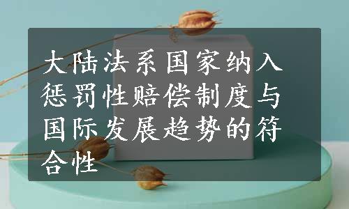 大陆法系国家纳入惩罚性赔偿制度与国际发展趋势的符合性