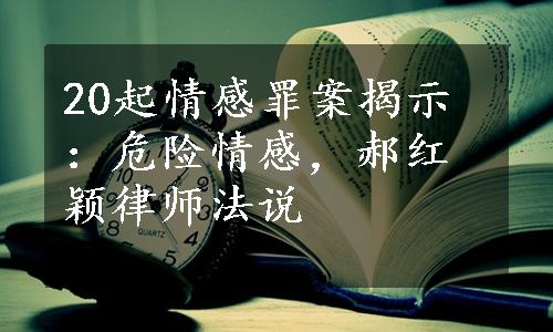 20起情感罪案揭示：危险情感，郝红颖律师法说