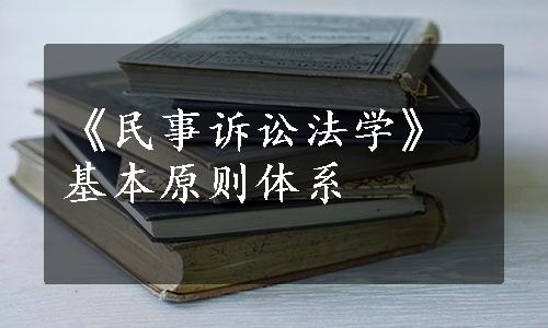 《民事诉讼法学》基本原则体系