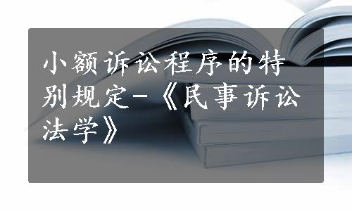 小额诉讼程序的特别规定-《民事诉讼法学》