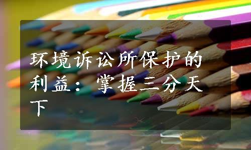 环境诉讼所保护的利益：掌握三分天下