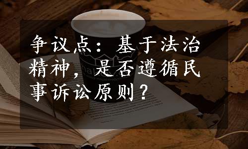 争议点：基于法治精神，是否遵循民事诉讼原则？