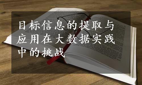 目标信息的提取与应用在大数据实践中的挑战