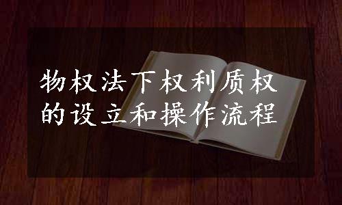 物权法下权利质权的设立和操作流程