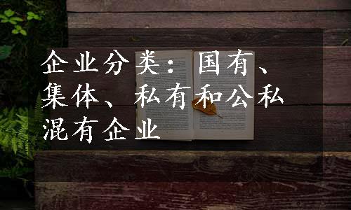 企业分类：国有、集体、私有和公私混有企业