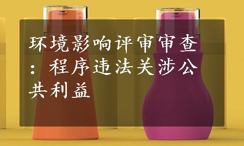 环境影响评审审查：程序违法关涉公共利益