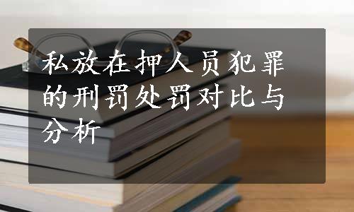 私放在押人员犯罪的刑罚处罚对比与分析