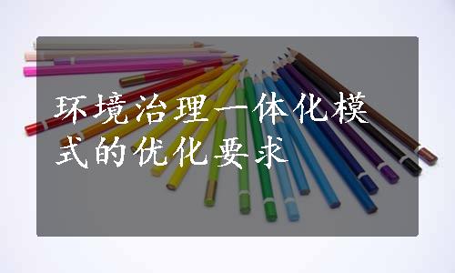 环境治理一体化模式的优化要求