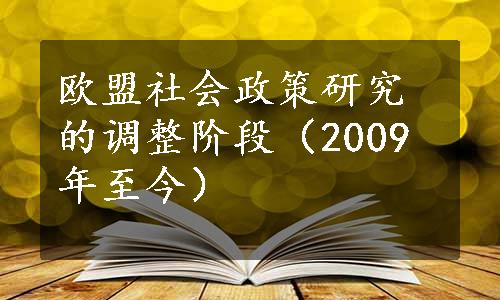 欧盟社会政策研究的调整阶段（2009年至今）