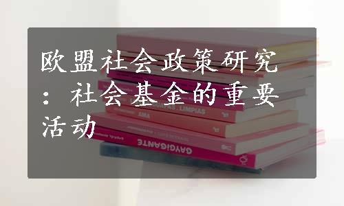 欧盟社会政策研究：社会基金的重要活动