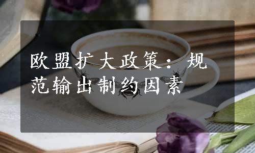 欧盟扩大政策：规范输出制约因素