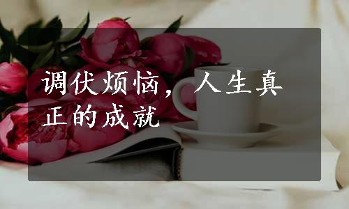 调伏烦恼，人生真正的成就