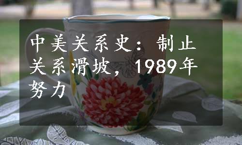 中美关系史：制止关系滑坡，1989年努力