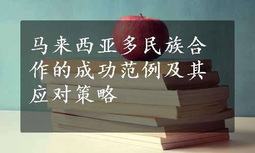 马来西亚多民族合作的成功范例及其应对策略