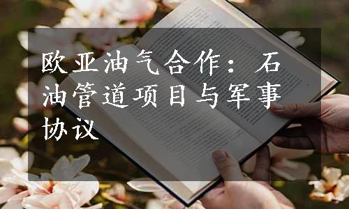 欧亚油气合作：石油管道项目与军事协议