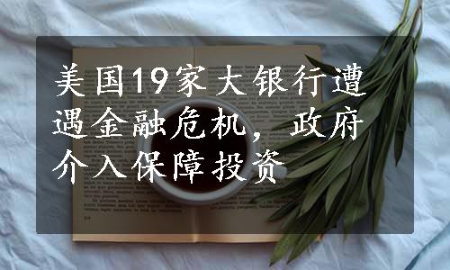 美国19家大银行遭遇金融危机，政府介入保障投资