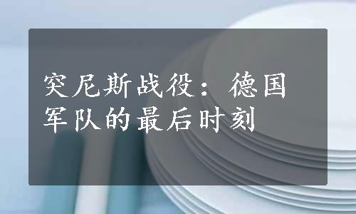 突尼斯战役：德国军队的最后时刻