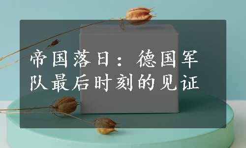 帝国落日：德国军队最后时刻的见证