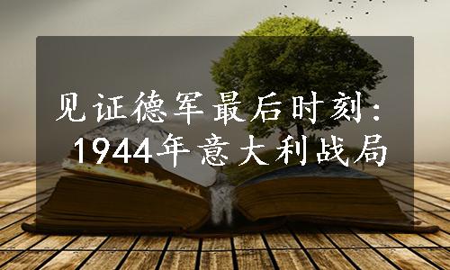 见证德军最后时刻: 1944年意大利战局