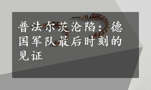 普法尔茨沦陷：德国军队最后时刻的见证