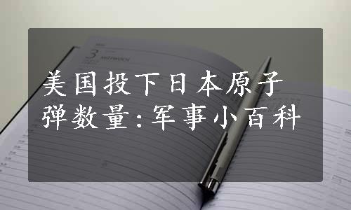 美国投下日本原子弹数量:军事小百科