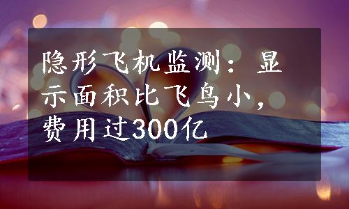 隐形飞机监测：显示面积比飞鸟小，费用过300亿