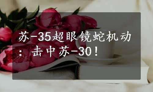 苏-35超眼镜蛇机动：击中苏-30！