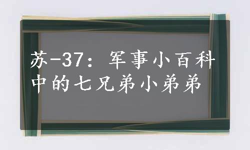 苏-37：军事小百科中的七兄弟小弟弟