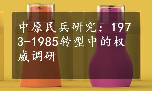 中原民兵研究：1973-1985转型中的权威调研