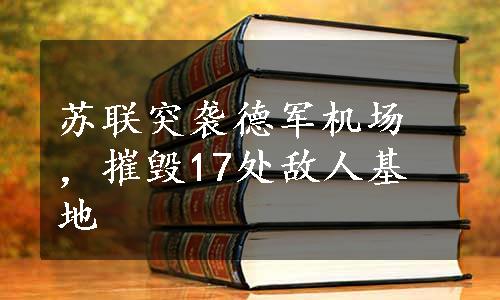 苏联突袭德军机场，摧毁17处敌人基地