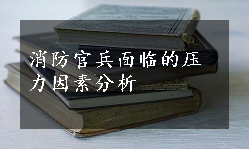 消防官兵面临的压力因素分析