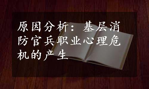 原因分析：基层消防官兵职业心理危机的产生