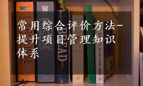 常用综合评价方法-提升项目管理知识体系