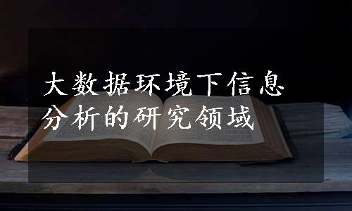 大数据环境下信息分析的研究领域